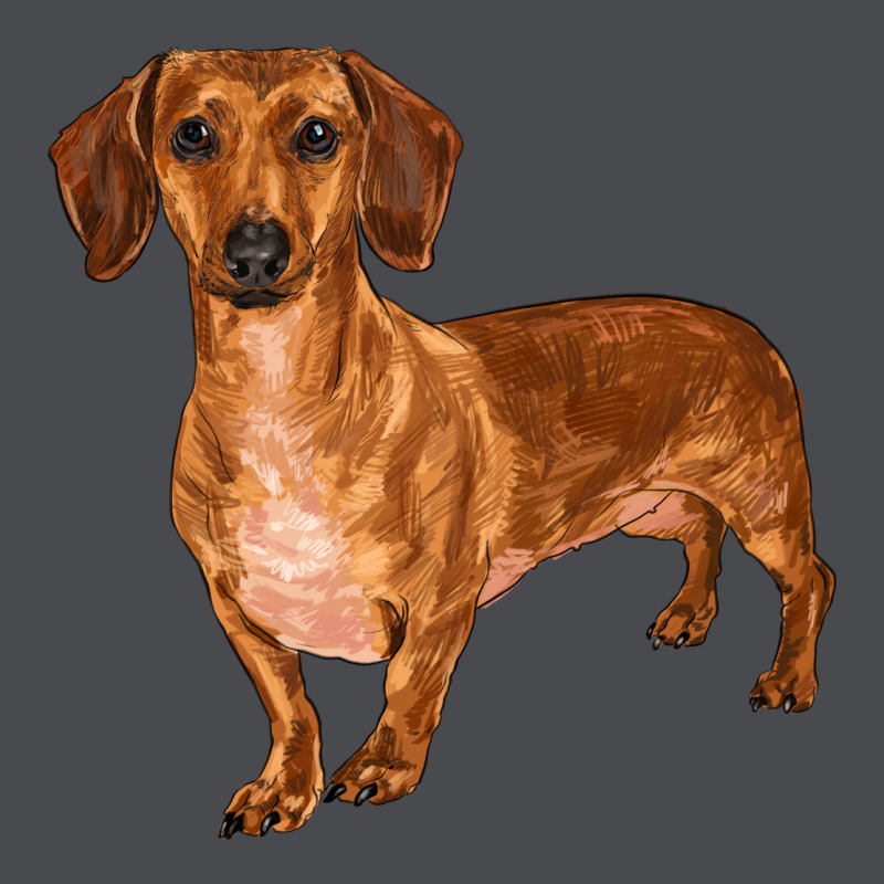 Dachshund Zipper Hoodie by RanaPortraitStore | Teevron