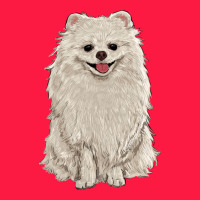 White Pomeranian Zipper Hoodie | Teevron