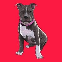Pitbull Zipper Hoodie | Teevron