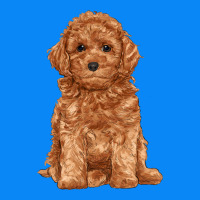 Toy Poodle Zipper Hoodie | Teevron