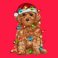 Toy Poodle With Christmas Lights Zipper Hoodie | Teevron