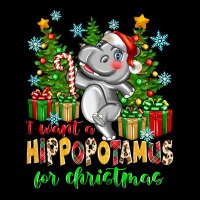 I Want A Hippopotamus For Christmas Long Sleeve Tee | Teevron