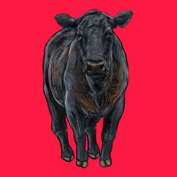 Black Angus Cattle Zipper Hoodie | Teevron