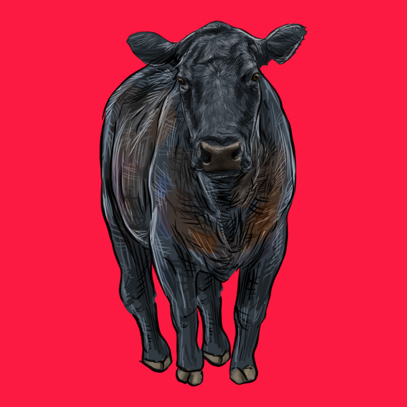Black Angus Cattle Zipper Hoodie by RanaPortraitStore | Teevron