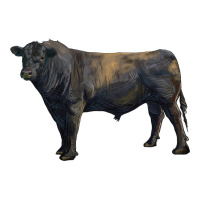 black angus bull | Teevron
