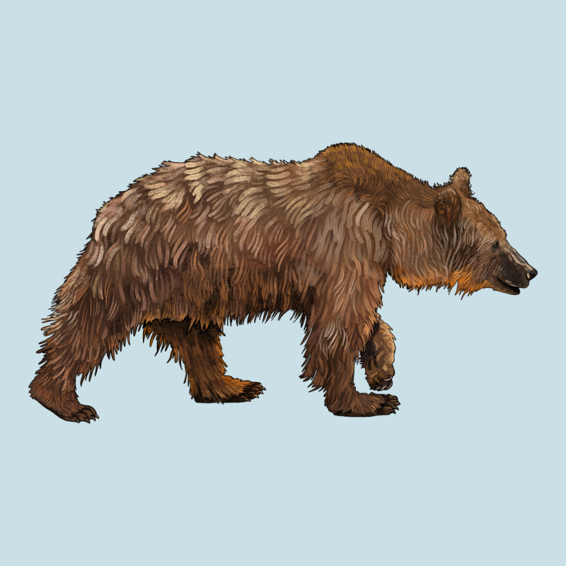 Bear Ladies Tee by BarkalooDesign | Teevron
