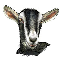 alpine goat head | Teevron