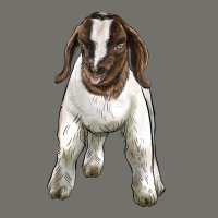 Baby Boer Goat Premium Hoodie | Teevron