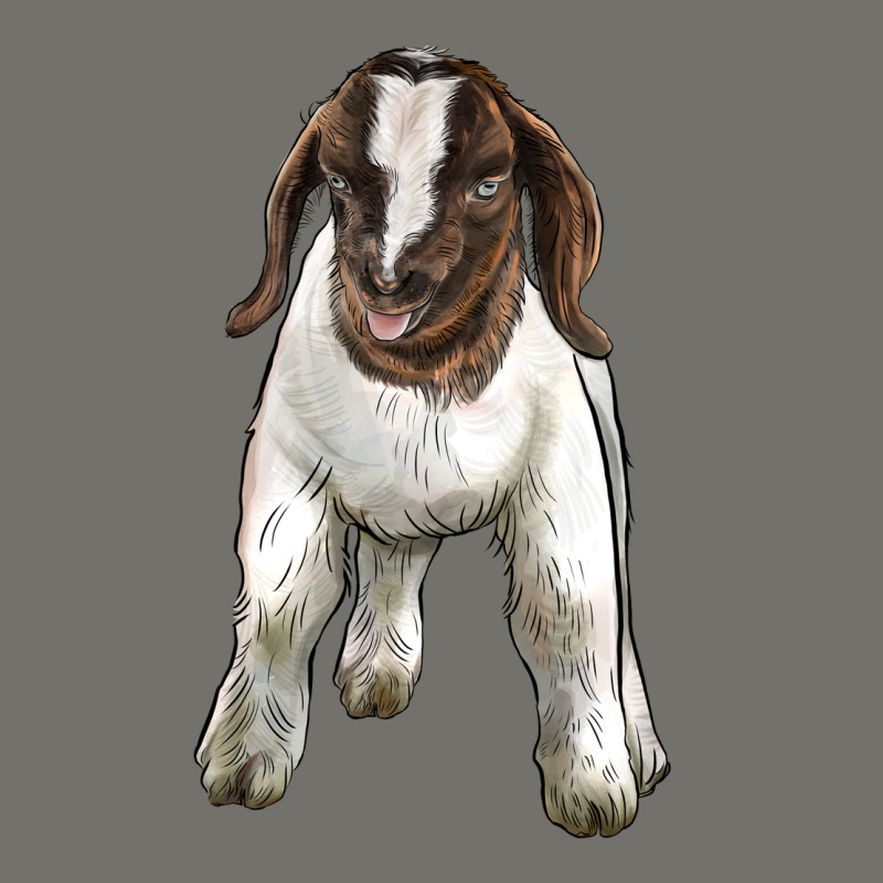 Baby Boer Goat Premium Hoodie by LillyAllenDesigns | Teevron
