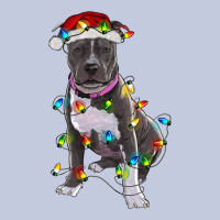 Pitbull With Christmas Lights Long Sleeve Tee | Teevron