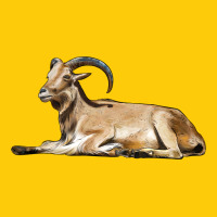 Spanish Goat Premium Hoodie | Teevron