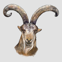 Spanish Goat Face Premium Hoodie | Teevron