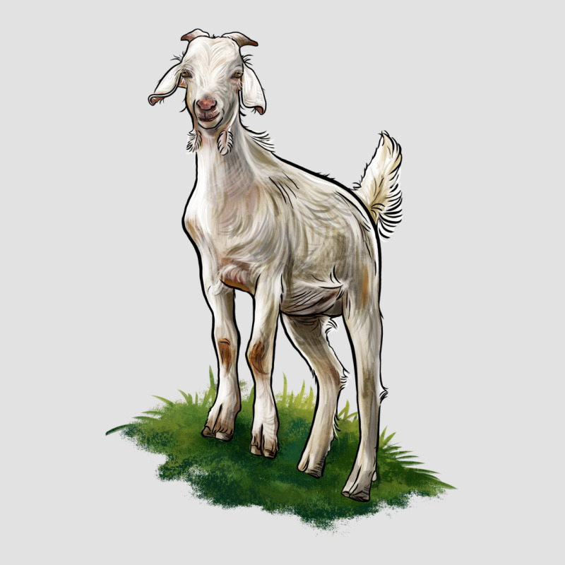 Kiko Goat Premium Hoodie by LillyAllenDesigns | Teevron