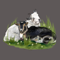 Two Baby Nigerian Dwarf Goat Premium Hoodie | Teevron