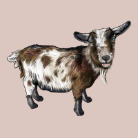 Nigerian Dwarf Goat Premium Hoodie | Teevron