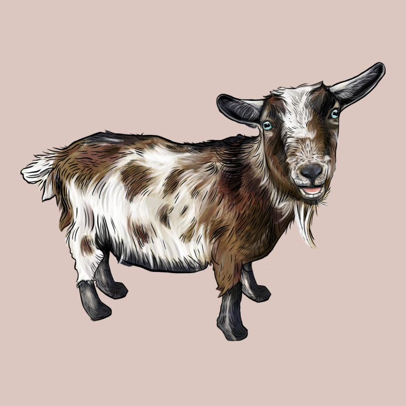 Nigerian Dwarf Goat Premium Hoodie by LillyAllenDesigns | Teevron