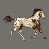 Appaloosa Horse Premium Hoodie | Teevron