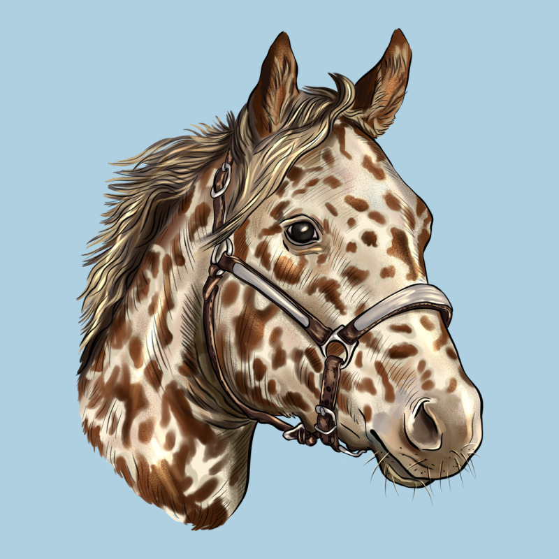 Appaloosa Horse Premium Hoodie by LillyAllenDesigns | Teevron