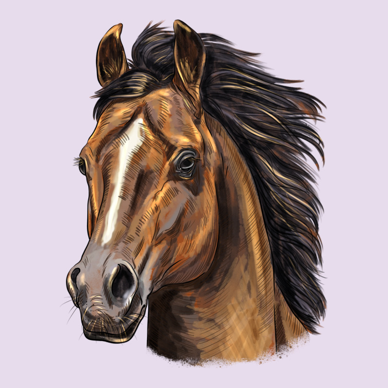 Quarter Horse Portrait Premium Hoodie by LillyAllenDesigns | Teevron