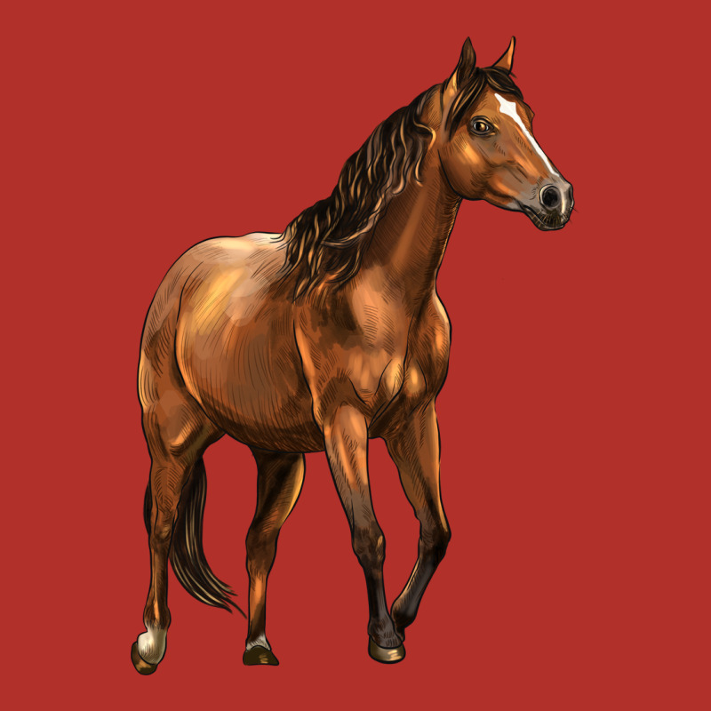 Quarter Horse Premium Hoodie by LillyAllenDesigns | Teevron