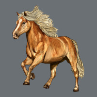 Haflinger Horse Premium Hoodie | Teevron