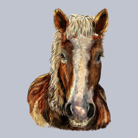 Belgian Horse Premium Hoodie | Teevron