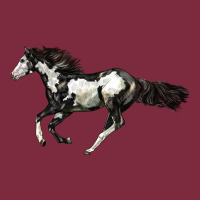 American Paint Horse Premium Hoodie | Teevron