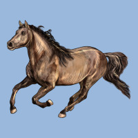 Missouri Fox Trotter Horse Premium Hoodie | Teevron