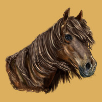 Missouri Horse Premium Hoodie | Teevron
