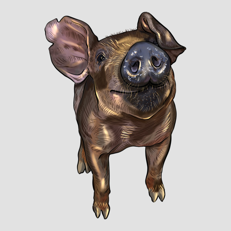 Baby Duroc Pig Premium Hoodie by LillyAllenDesigns | Teevron