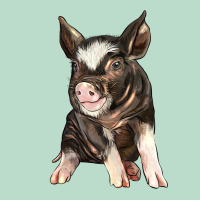 Baby Berkshire Pig Premium Hoodie | Teevron