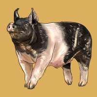 Hampshire Pig Premium Hoodie | Teevron