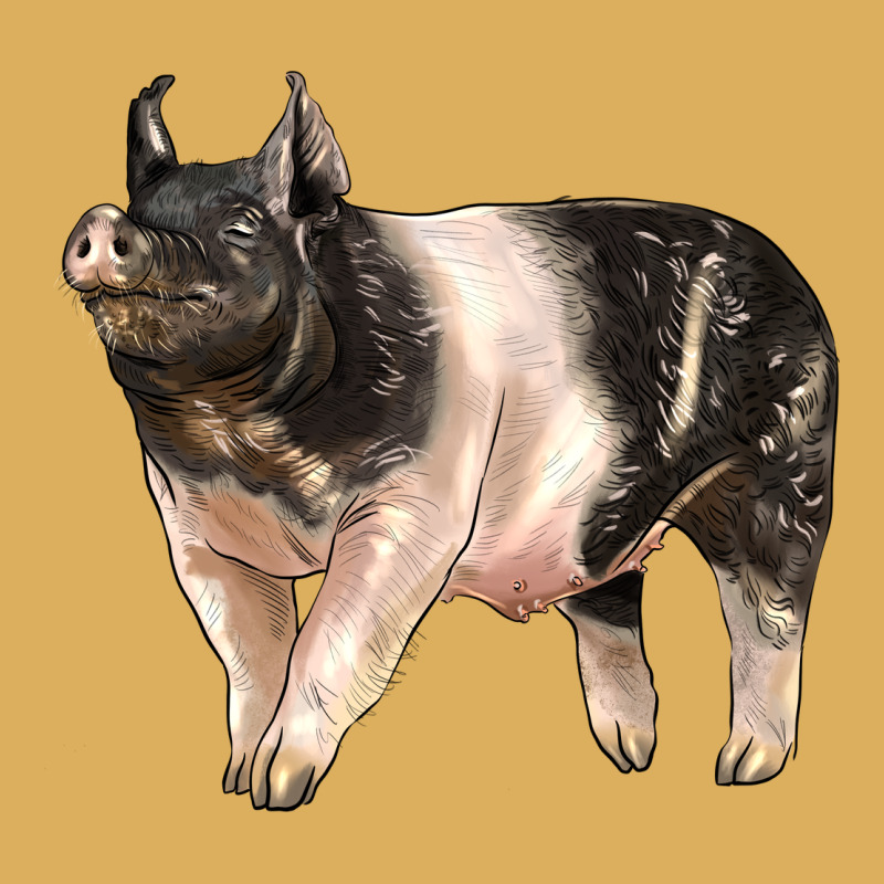 Hampshire Pig Premium Hoodie by LillyAllenDesigns | Teevron