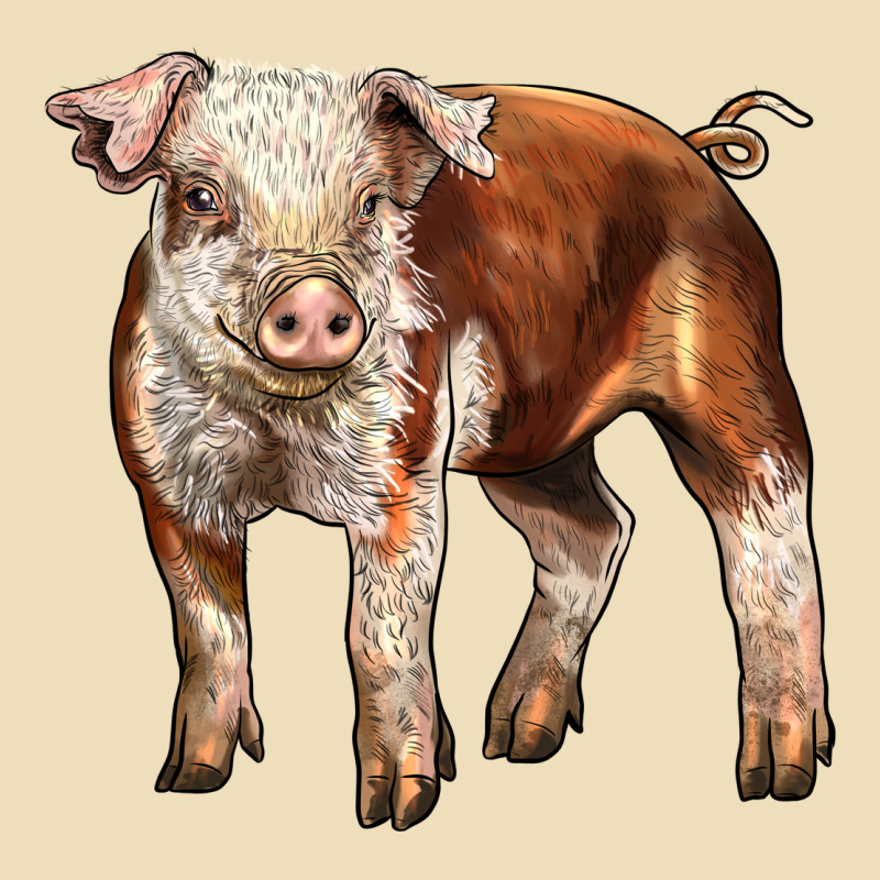 Baby Hereford Pig Premium Hoodie by LillyAllenDesigns | Teevron