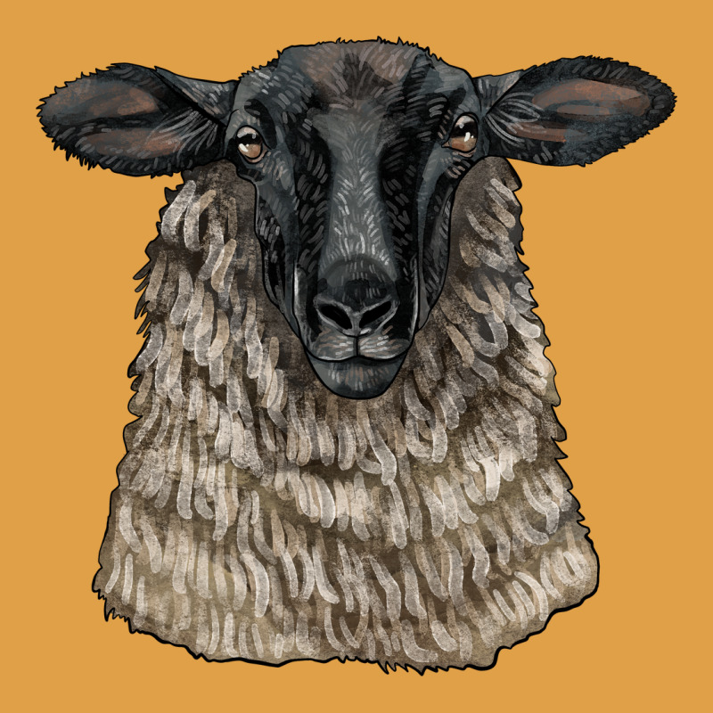 Suffolk Sheep Head Premium Hoodie by LillyAllenDesigns | Teevron