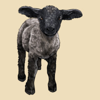 Suffolk Baby Sheep Premium Hoodie | Teevron