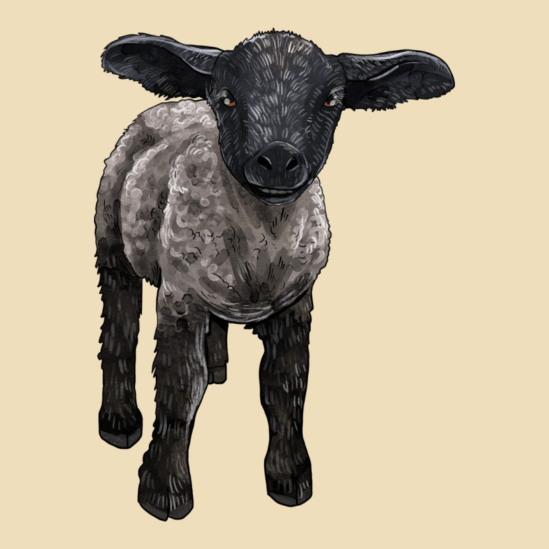 Suffolk Baby Sheep Premium Hoodie by LillyAllenDesigns | Teevron
