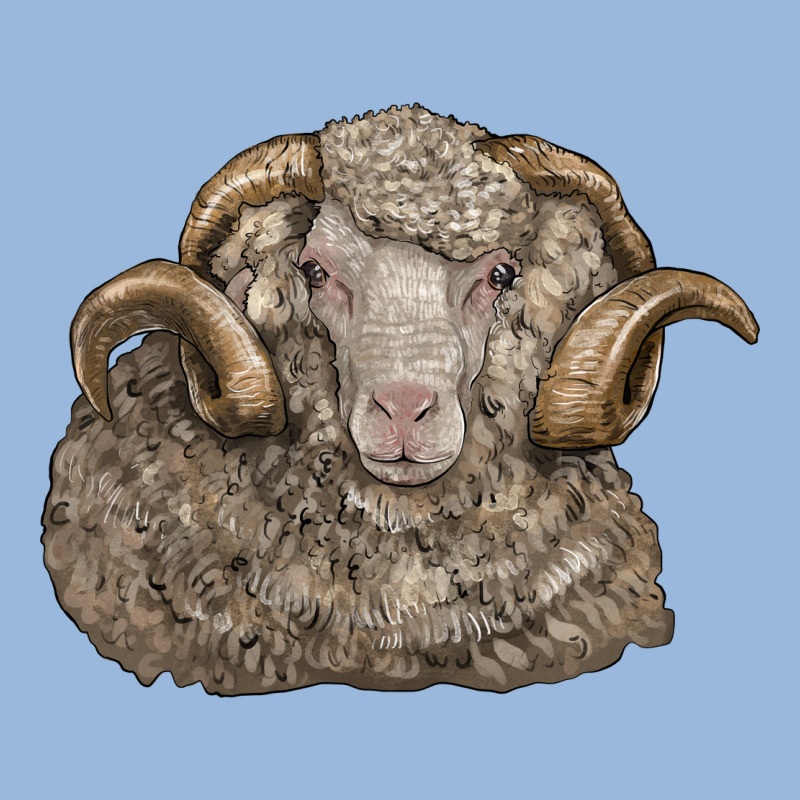 Merino Wool Sheep Head Premium Hoodie by LillyAllenDesigns | Teevron
