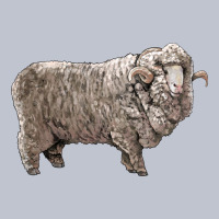 Rambouillet Sheep Premium Hoodie | Teevron