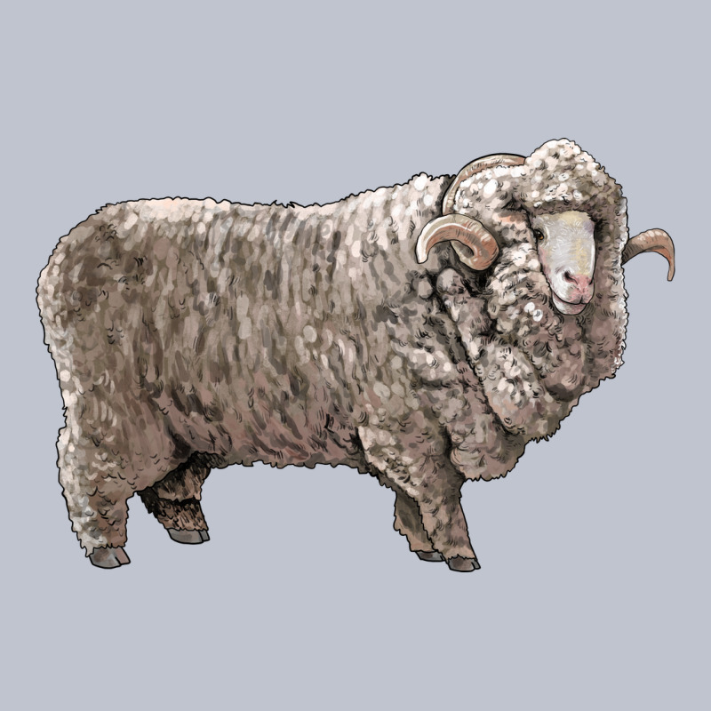 Rambouillet Sheep Premium Hoodie by LillyAllenDesigns | Teevron