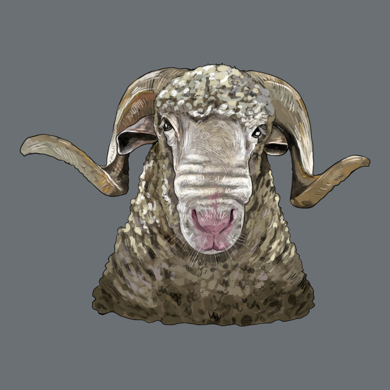 Rambouillet Sheep Head Premium Hoodie by LillyAllenDesigns | Teevron