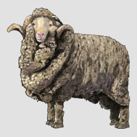Merino Wool Sheep Premium Hoodie | Teevron