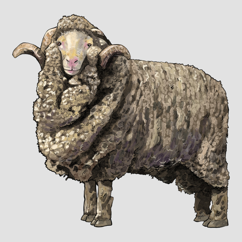 Merino Wool Sheep Premium Hoodie by LillyAllenDesigns | Teevron