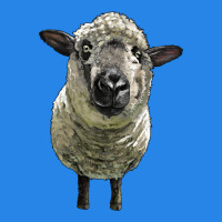 Hampshire Sheep Head Premium Hoodie | Teevron
