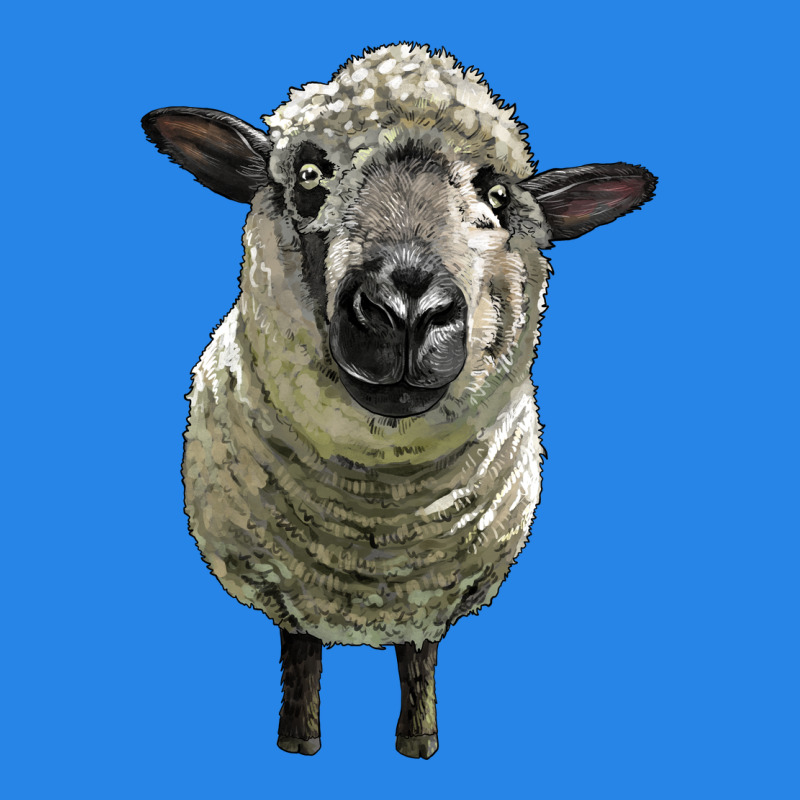 Hampshire Sheep Head Premium Hoodie by LillyAllenDesigns | Teevron