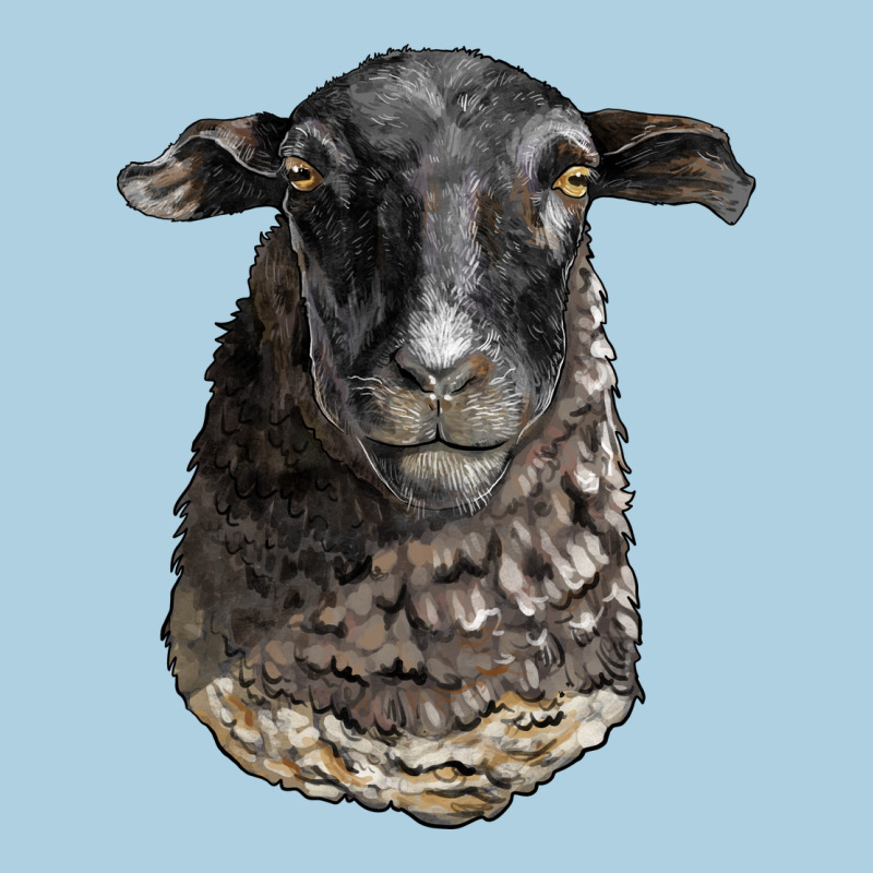 Dorper Sheep Head Premium Hoodie by LillyAllenDesigns | Teevron