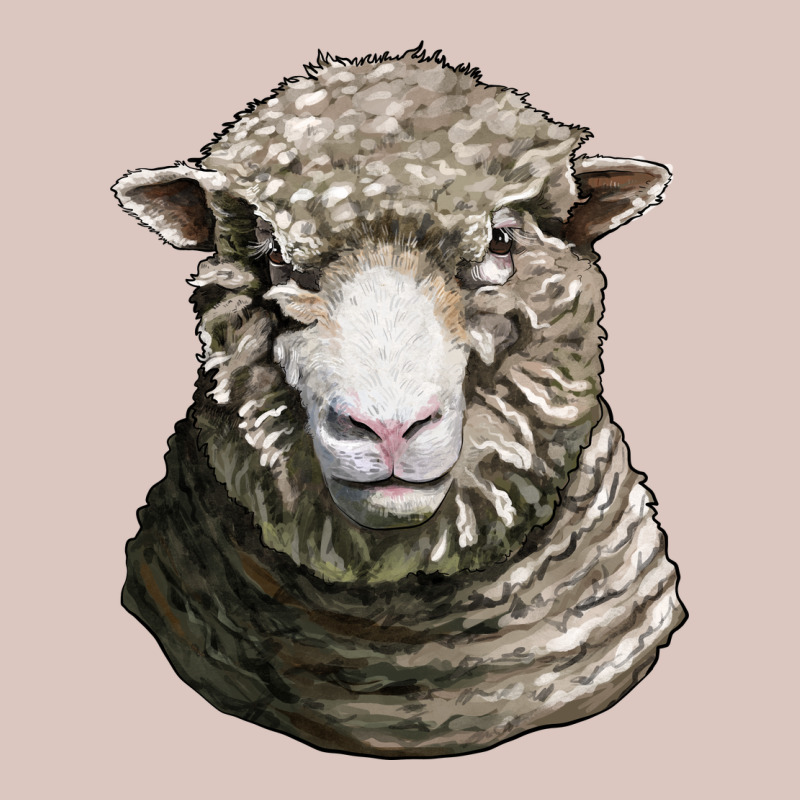 Dorset Sheep Head Premium Hoodie by LillyAllenDesigns | Teevron