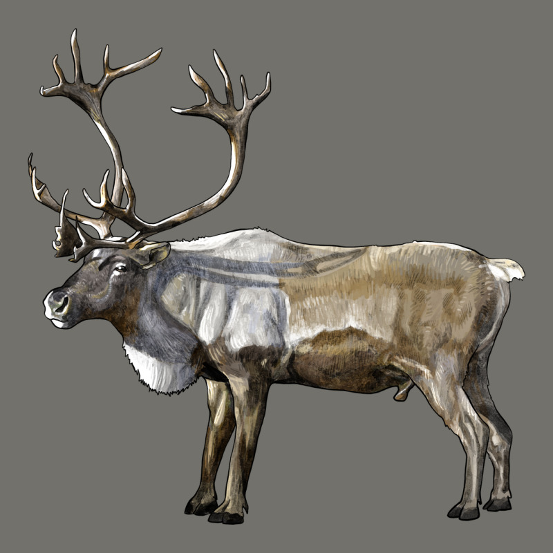 Reindeer Buck Deer Premium Hoodie by LillyAllenDesigns | Teevron