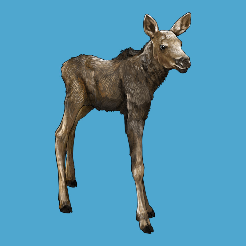Moose Fawn Deer Premium Hoodie by LillyAllenDesigns | Teevron
