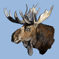 Moose Buck Deer Head Premium Hoodie | Teevron